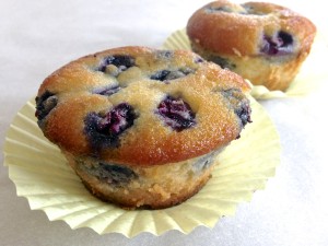 blueberrymuffin