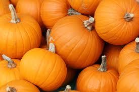 Pumpkin Smoothie Recipe + benefits of adding pumpkin to your diet!